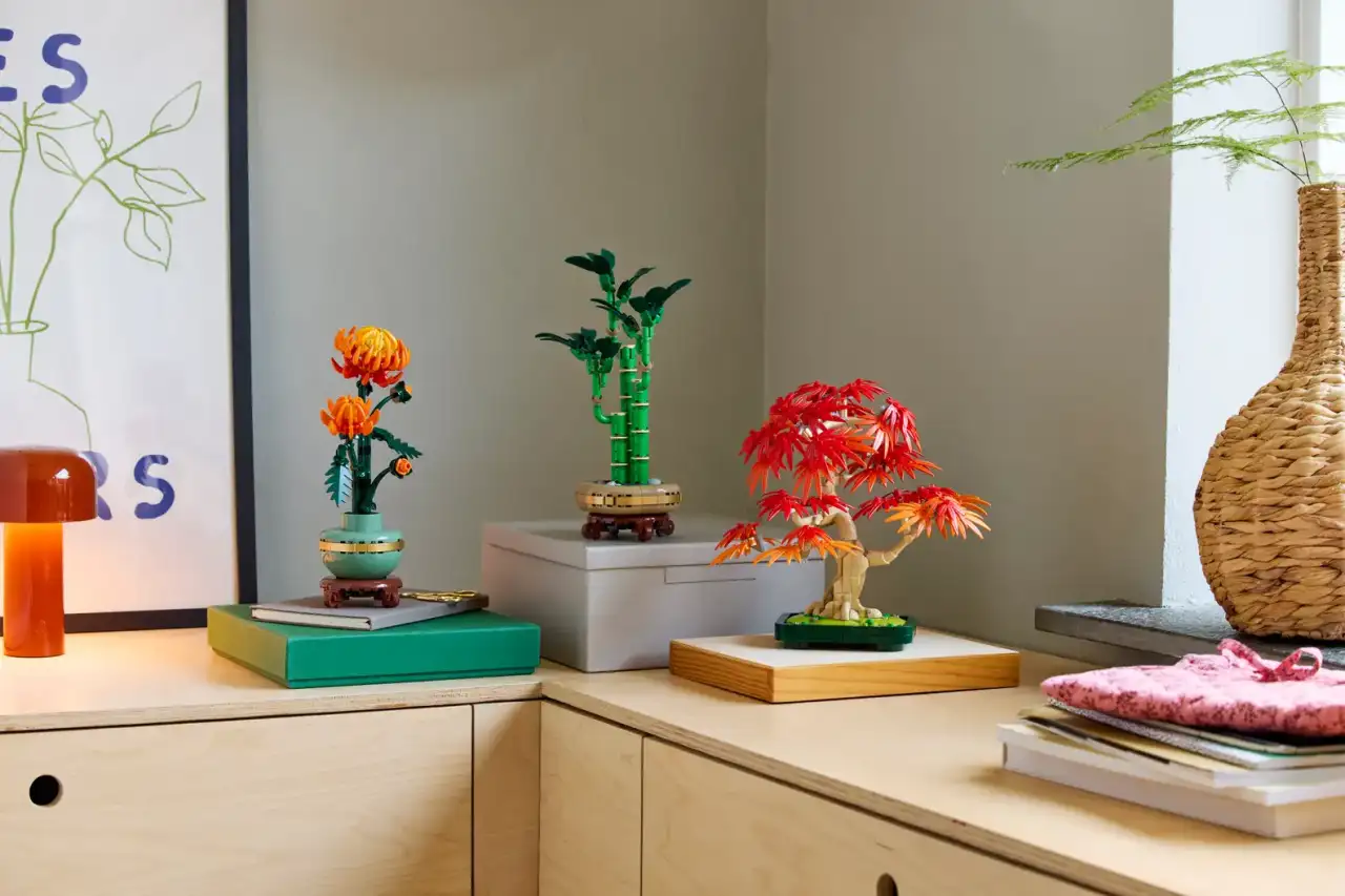 10348 - Japanese Maple Tree