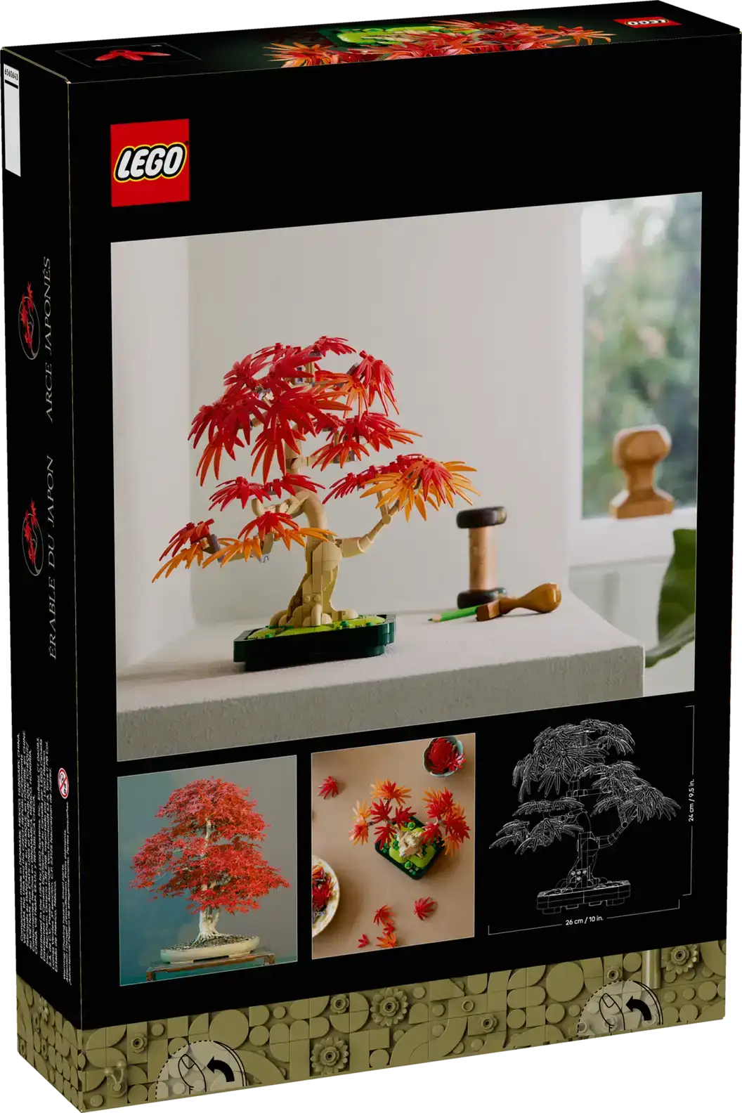 10348 - Japanese Maple Tree