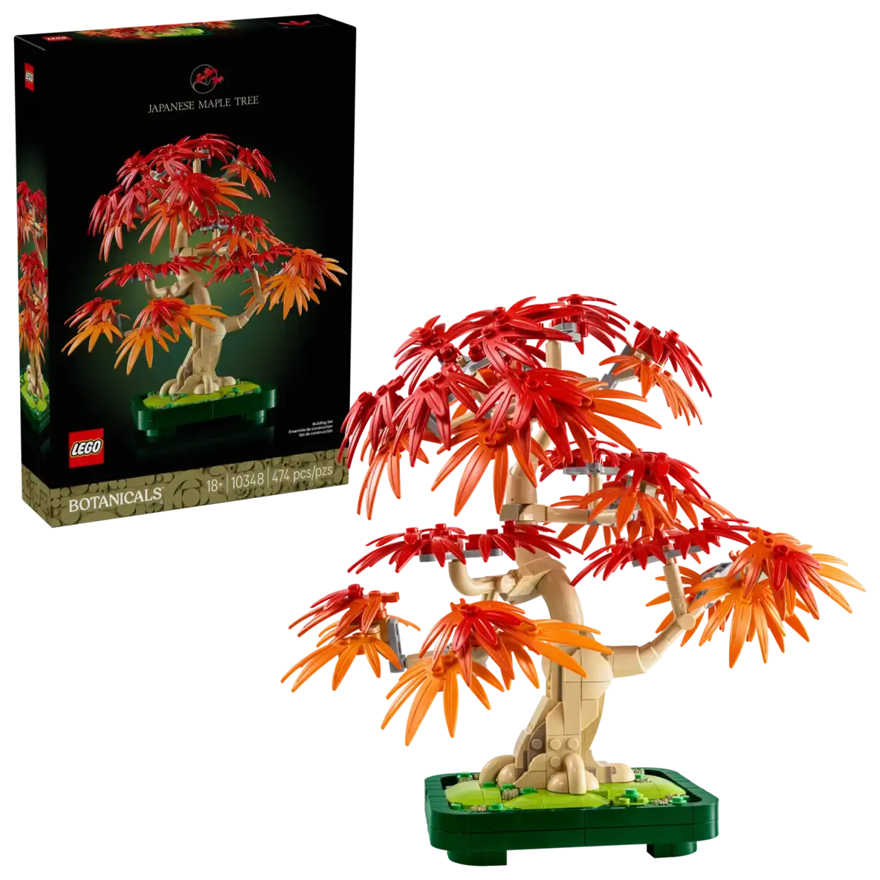10348 - Japanese Maple Tree