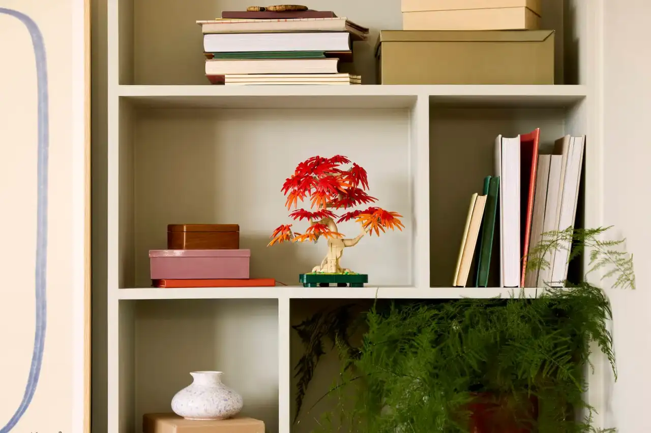 10348 - Japanese Maple Tree