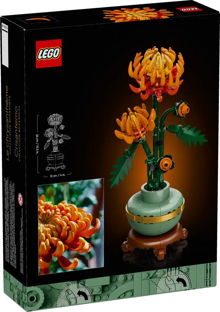 10368 - Chrysanthemum