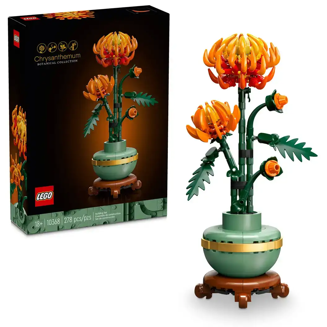 10368 - Chrysanthemum