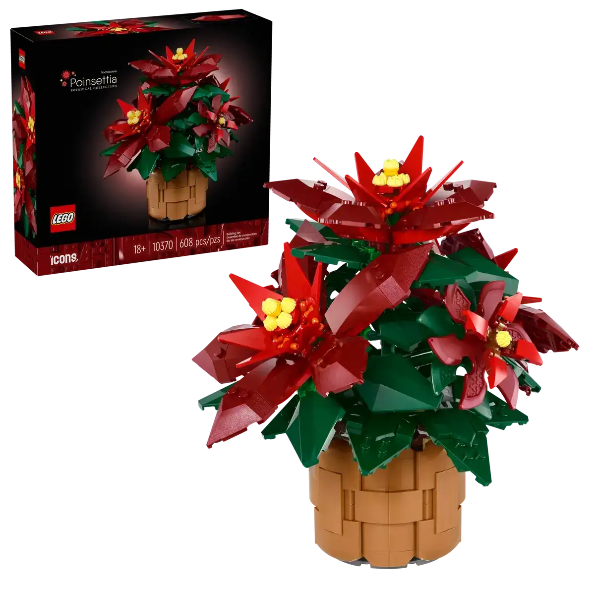 10370 - Poinsettia