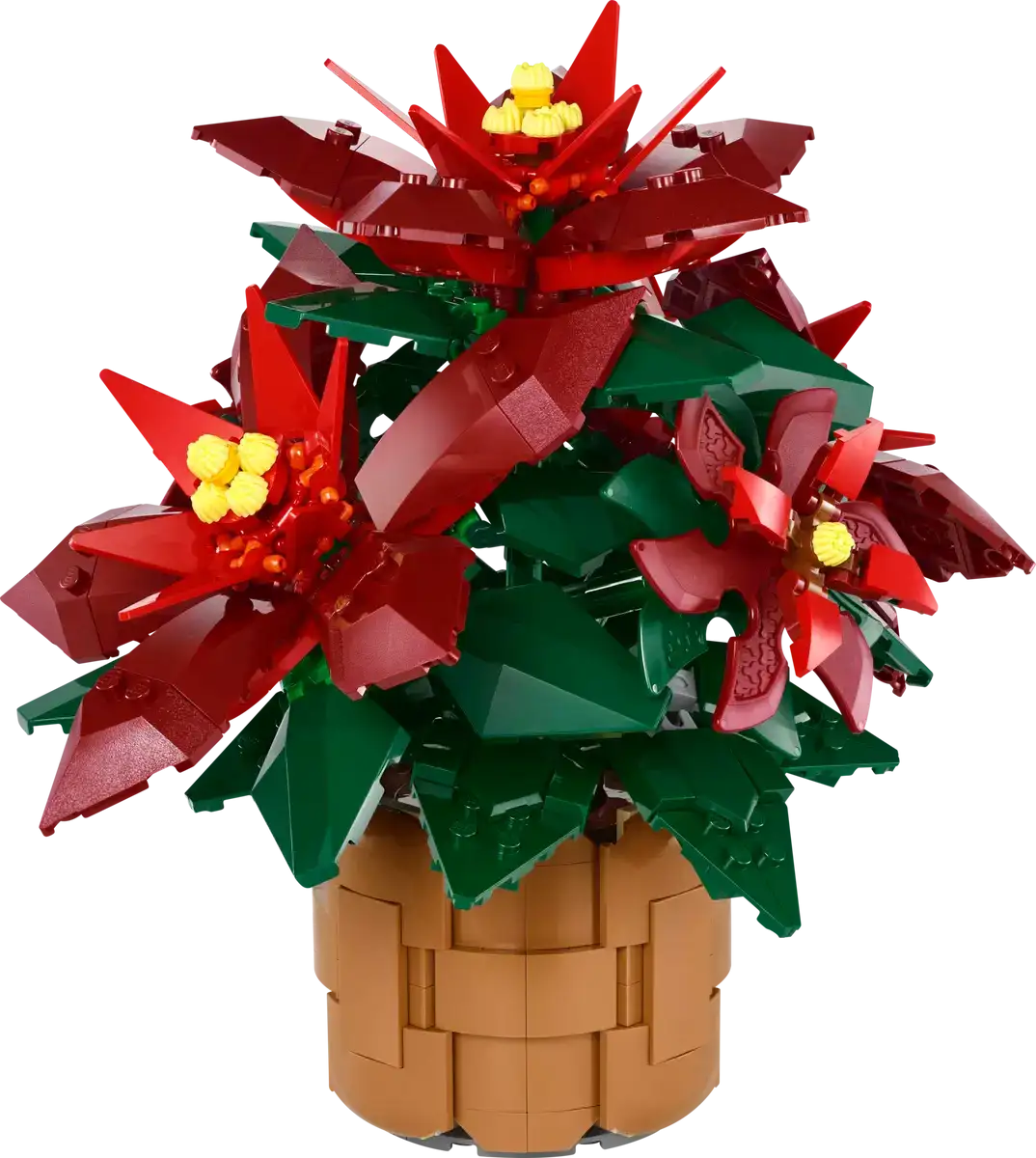 10370 - Poinsettia