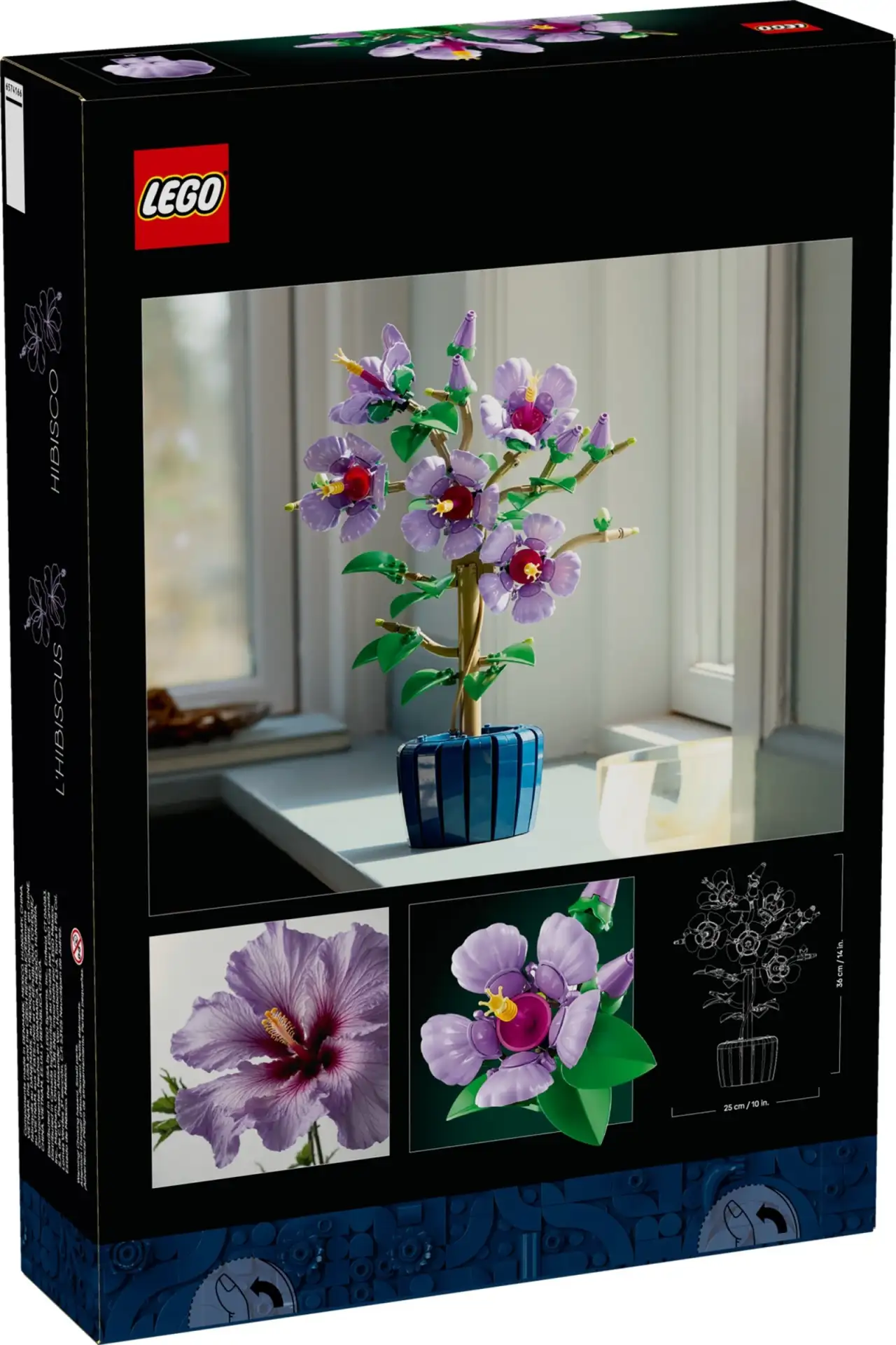 10372 - Hibiscus