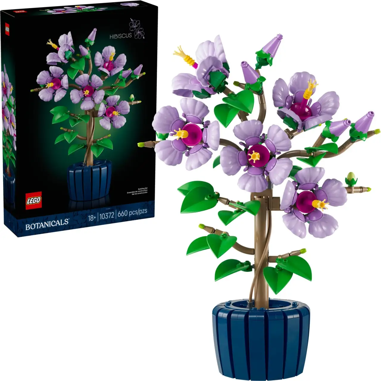 10372 - Hibiscus