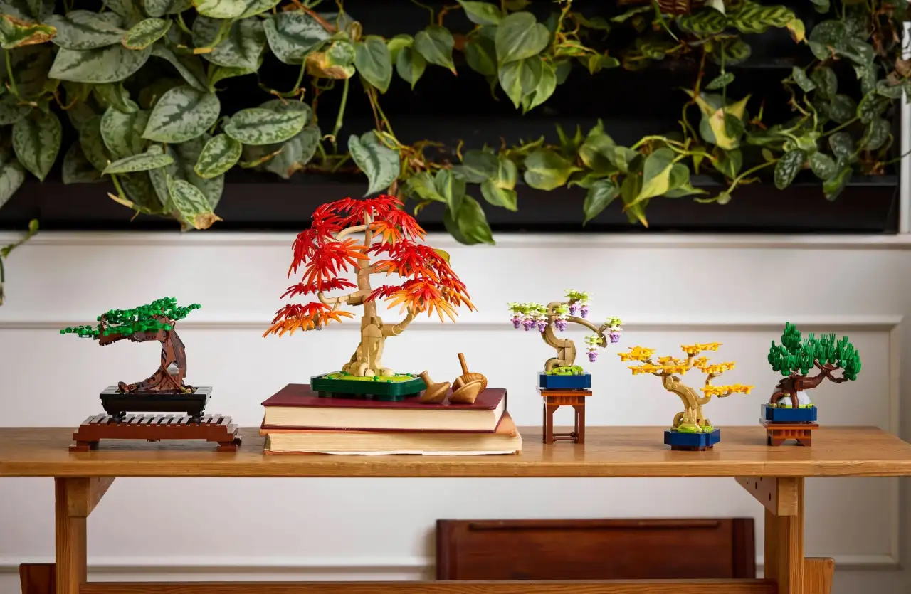 10373 - Mini Bonsai Trees