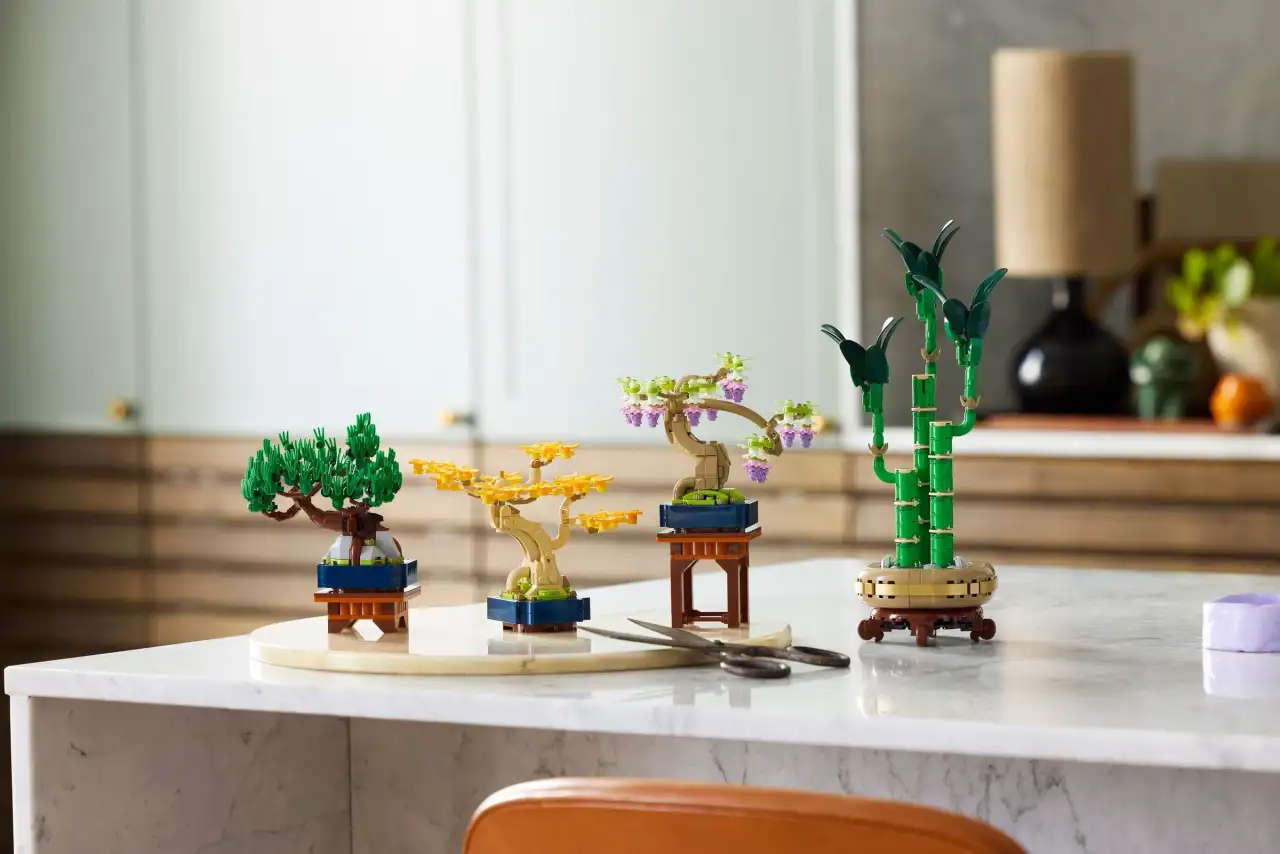 10373 - Mini Bonsai Trees