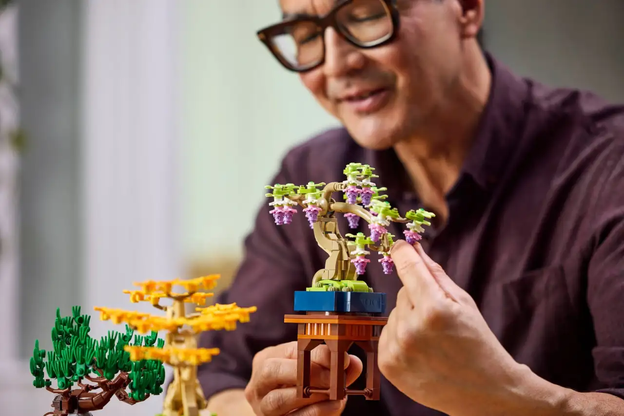 10373 - Mini Bonsai Trees