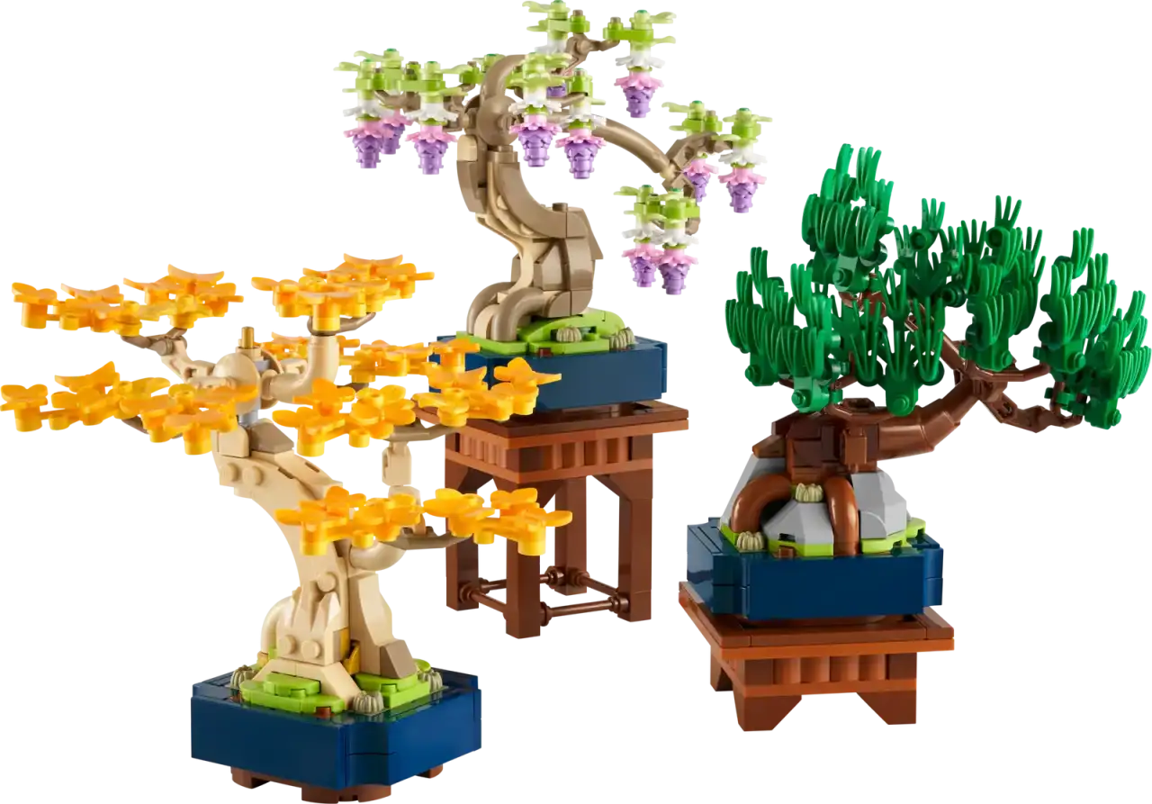 10373 - Mini Bonsai Trees