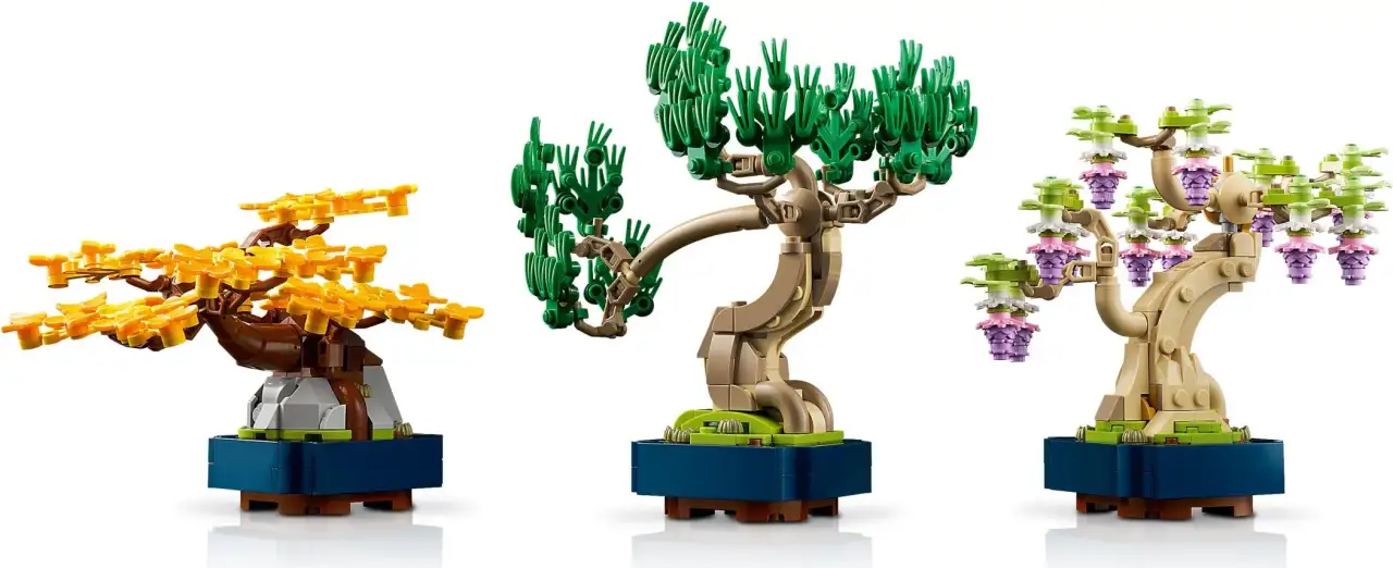 10373 - Mini Bonsai Trees