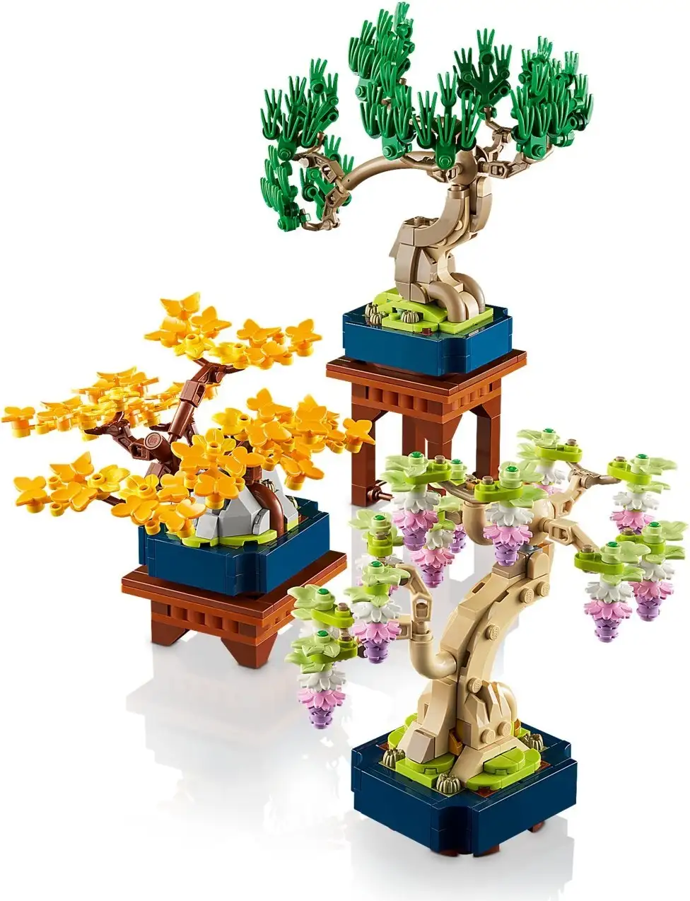 10373 - Mini Bonsai Trees