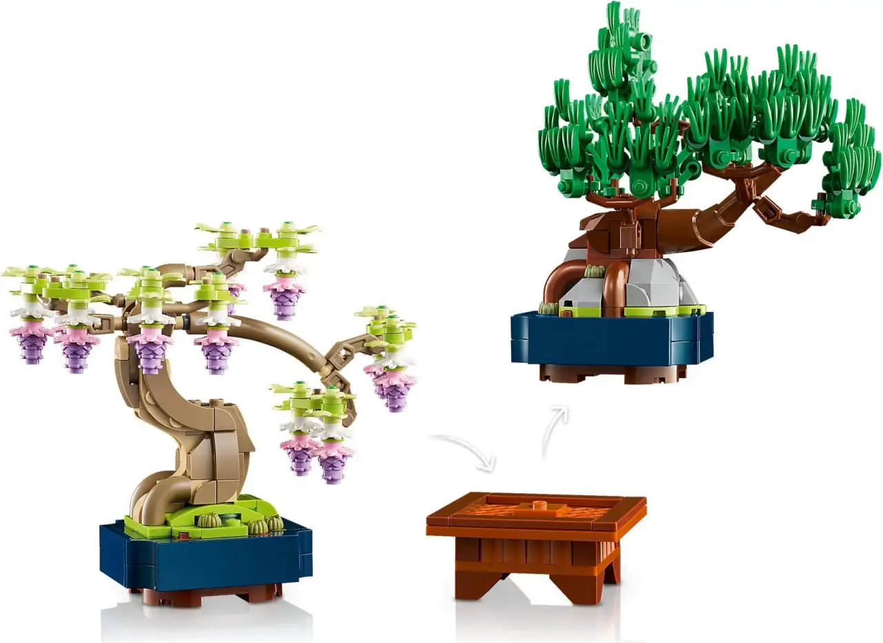 10373 - Mini Bonsai Trees