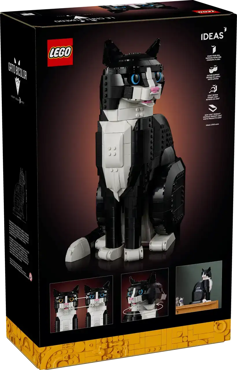 21349 - Tuxedo Cat