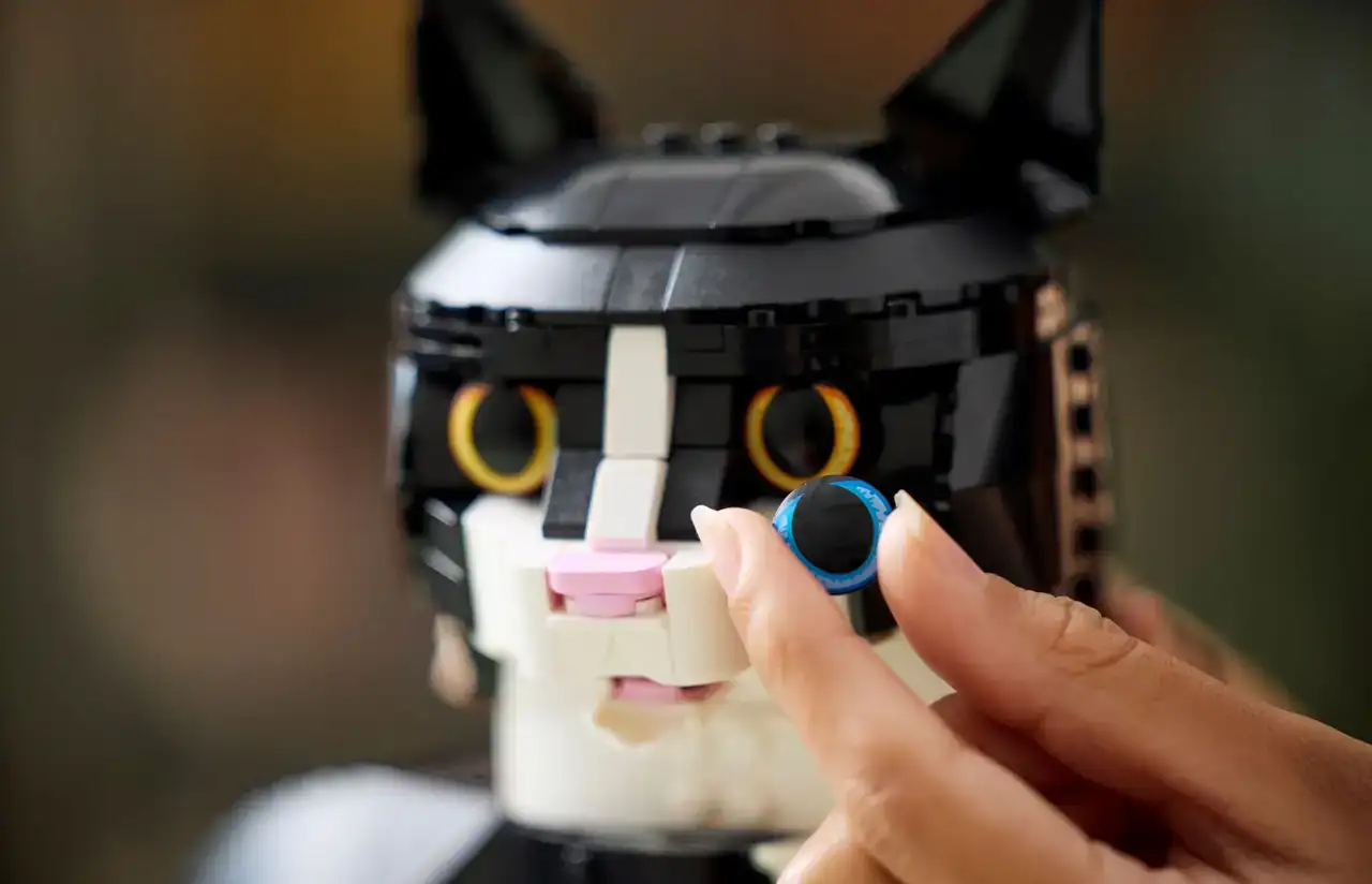 21349 - Tuxedo Cat
