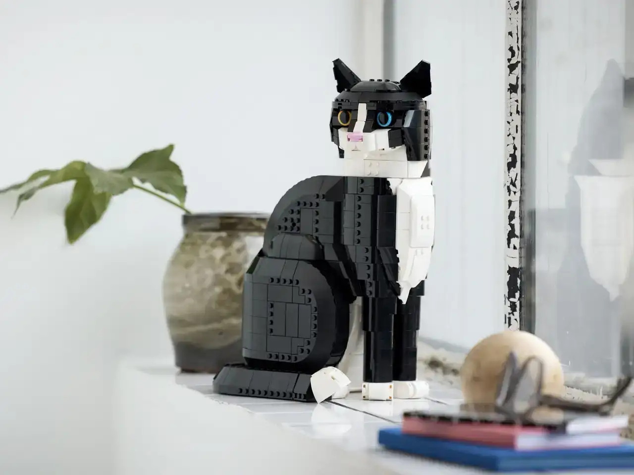 21349 - Tuxedo Cat
