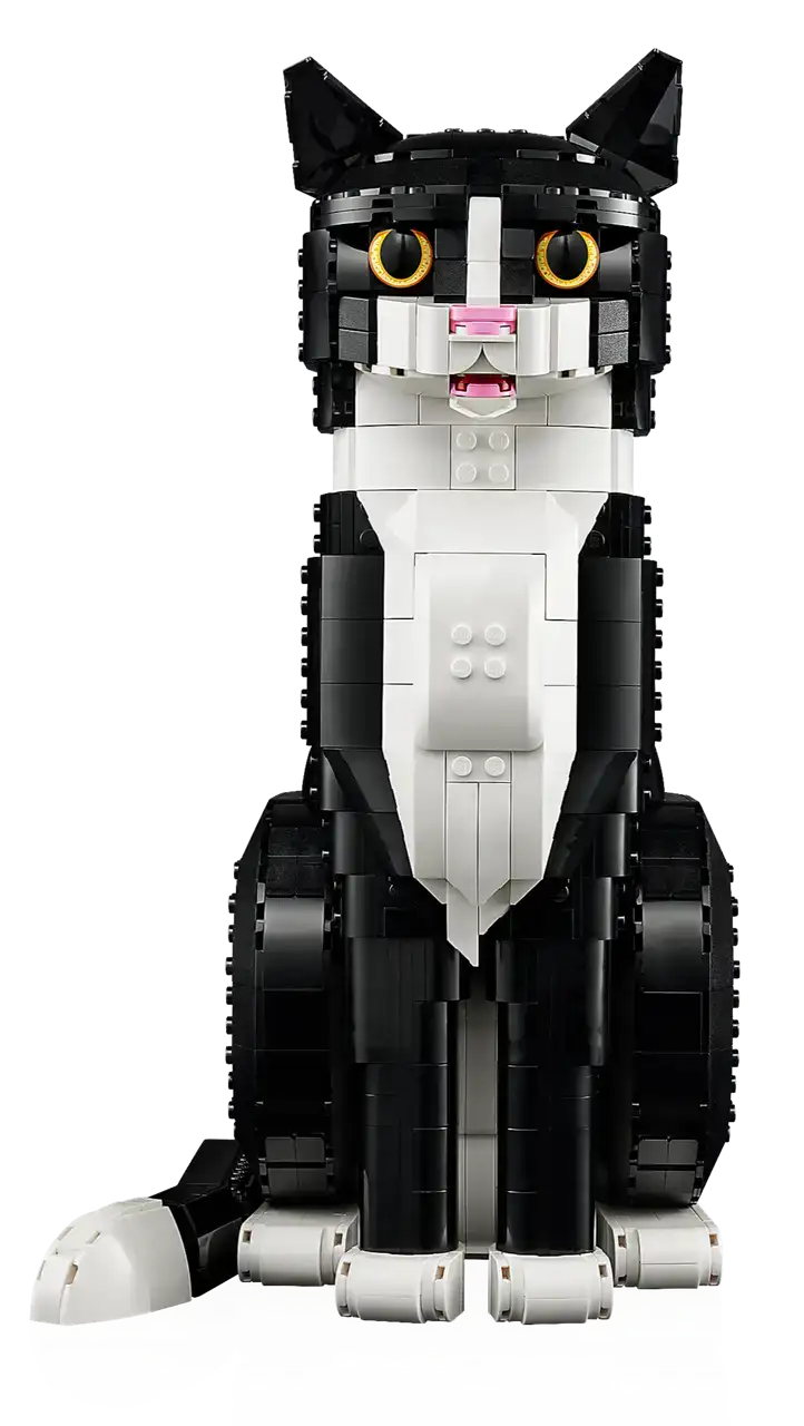 21349 - Tuxedo Cat