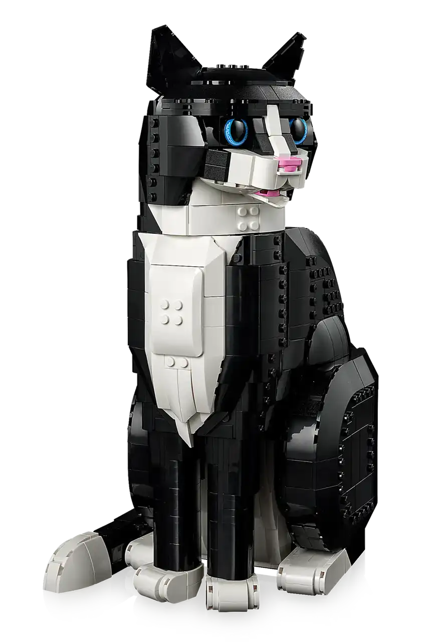 21349 - Tuxedo Cat