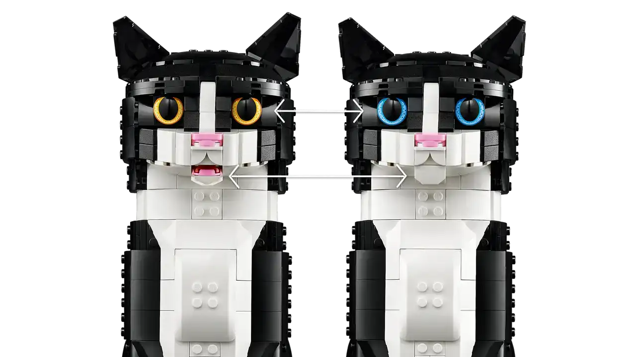 21349 - Tuxedo Cat