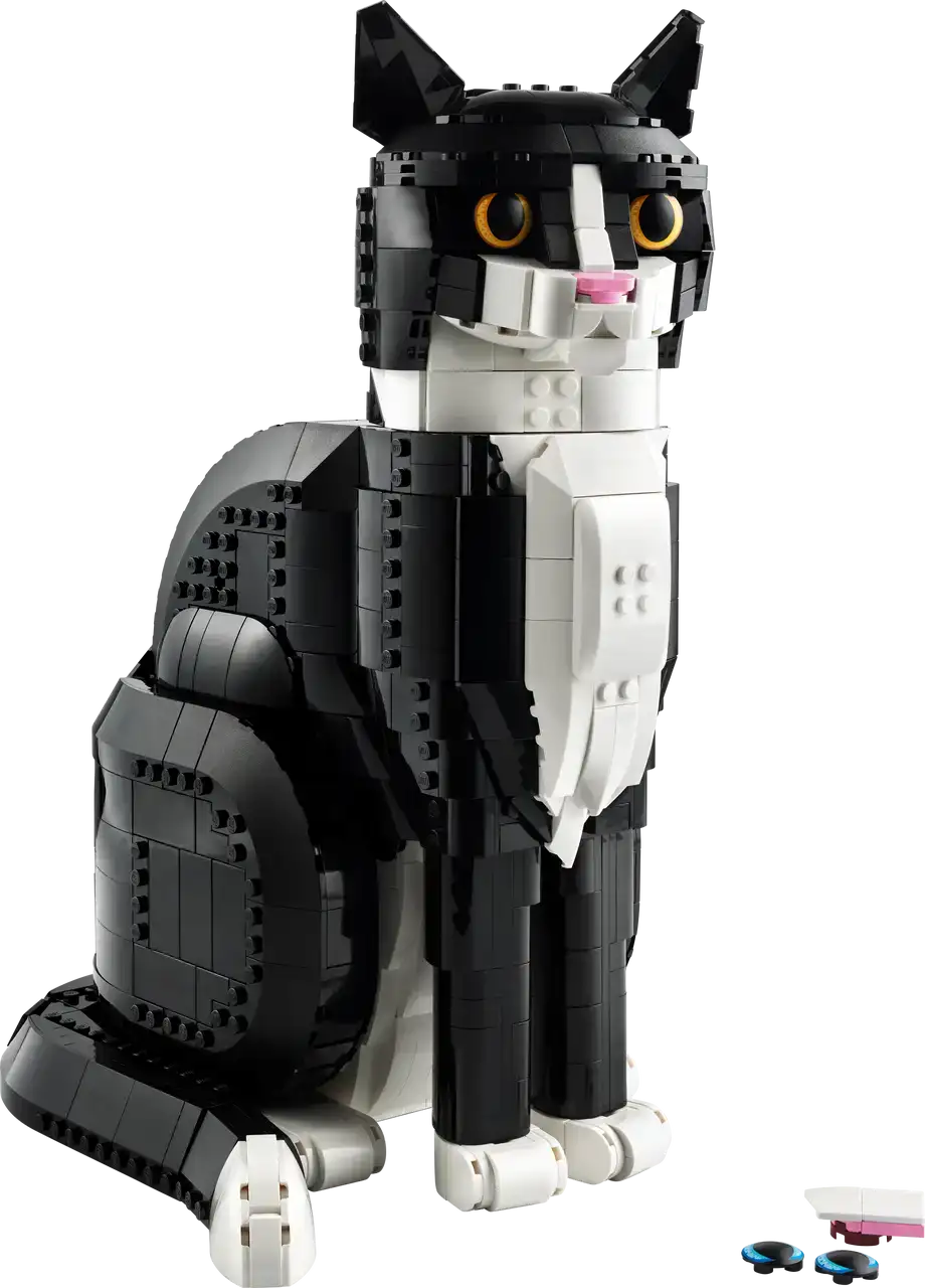 21349 - Tuxedo Cat