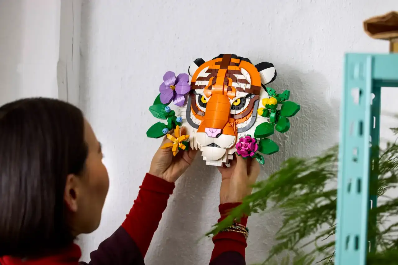 31217 - Tiger