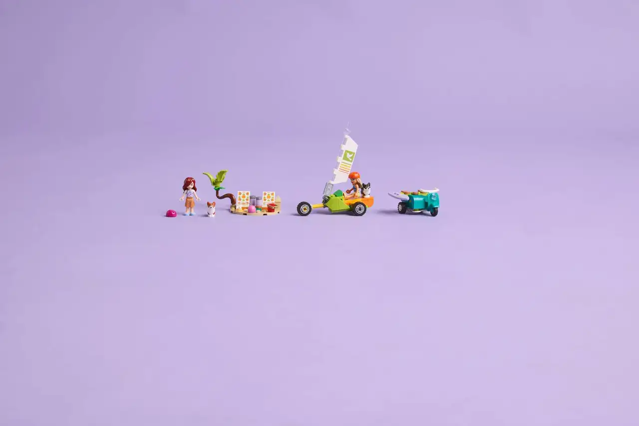 42641 - Surfing Dogs and Scooter Adventure