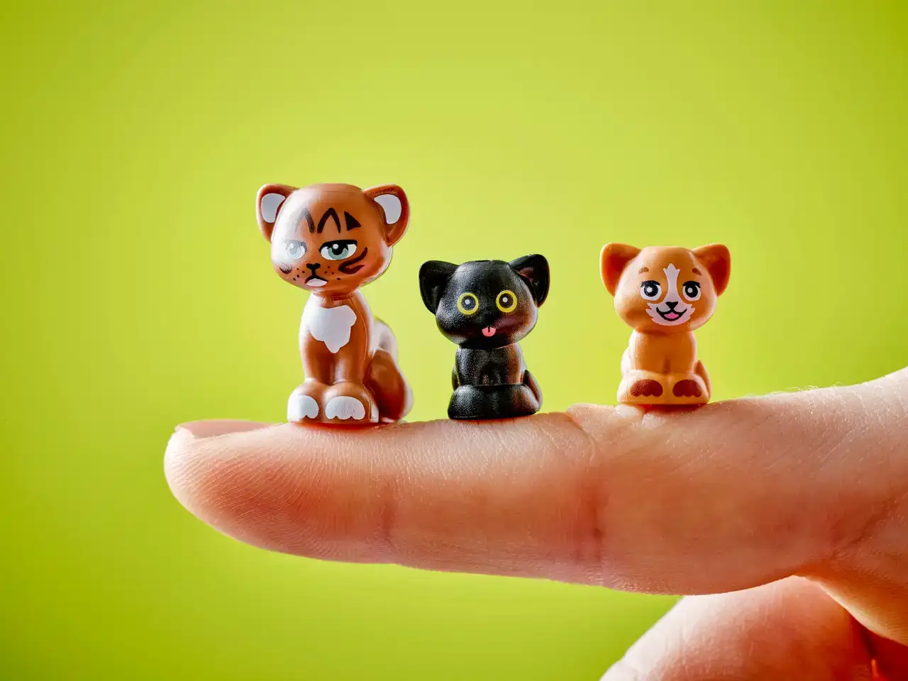 42666 - Cat Birthday Party