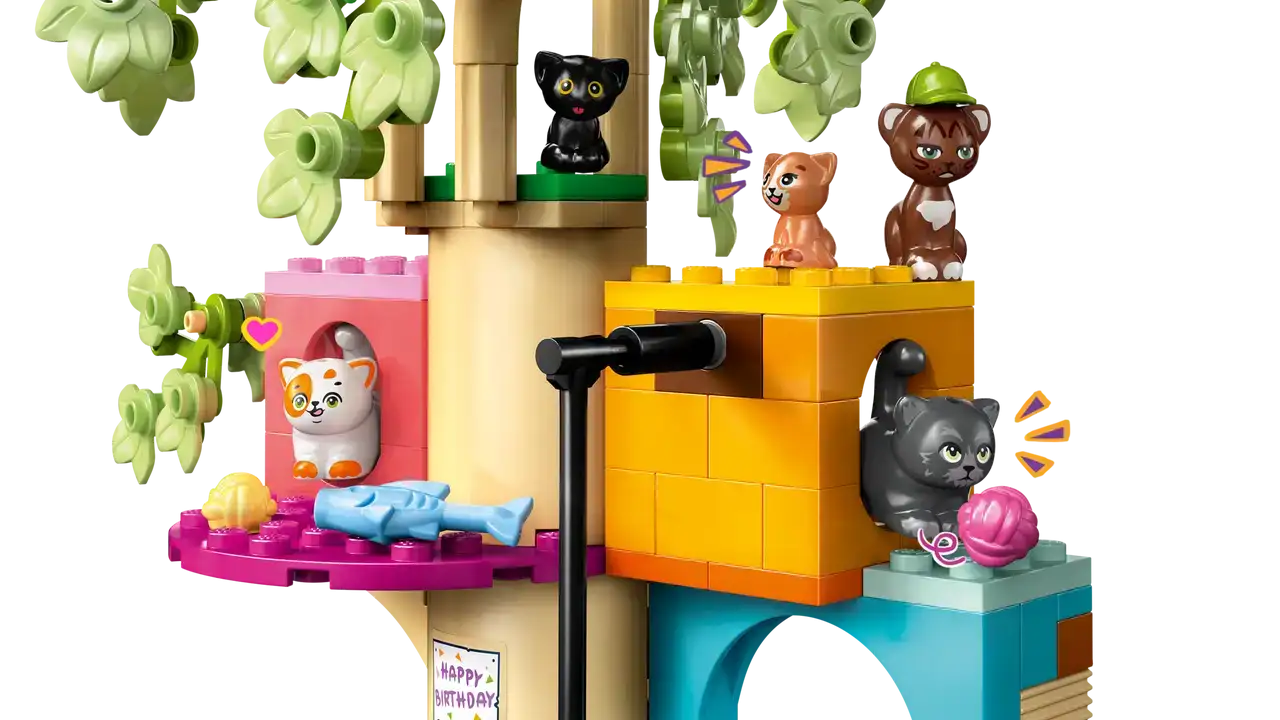 42666 - Cat Birthday Party