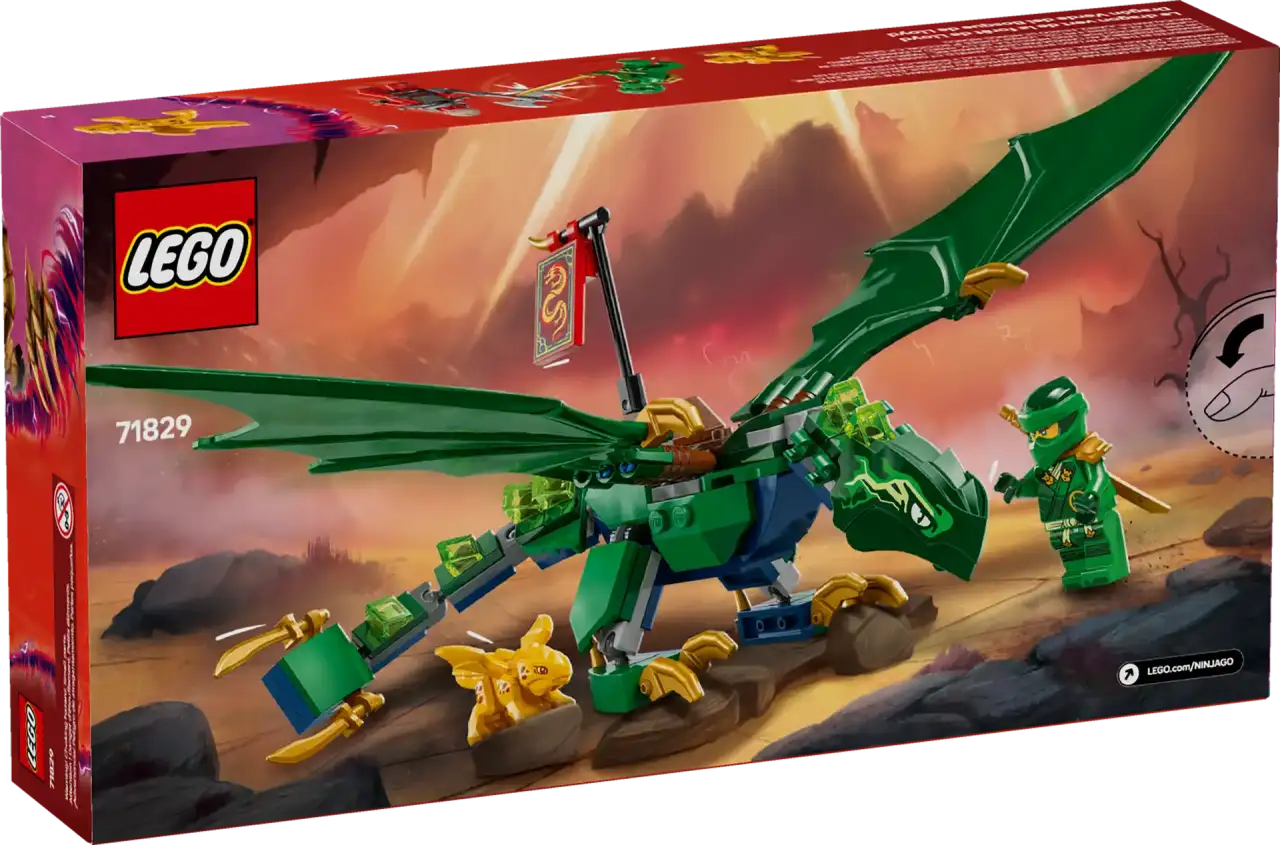 71829 - Lloyd's Green Forest Dragon