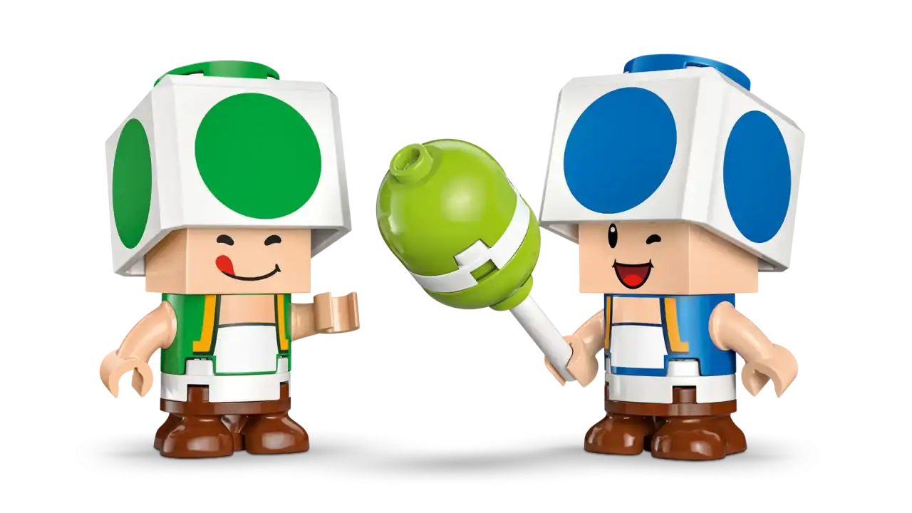 72041 - Party at Toad's House