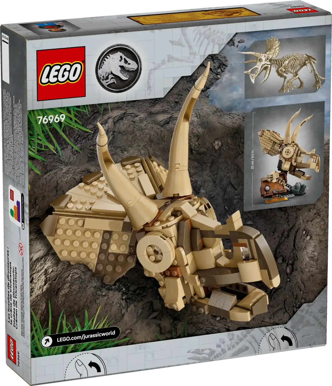 76969 - Dinosaur Fossils: Triceratops Skull