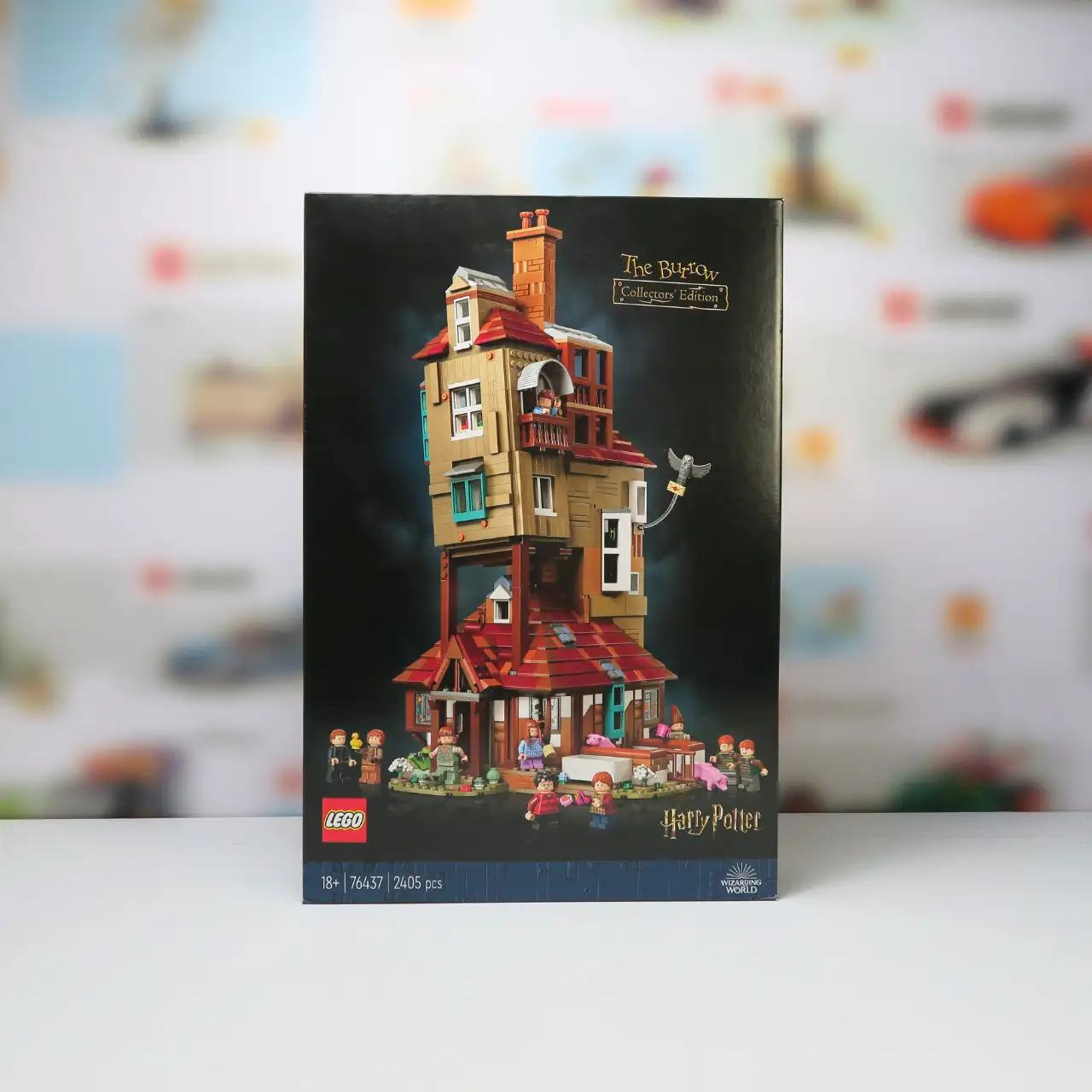 76437 - The Burrow - Collectors' Edition