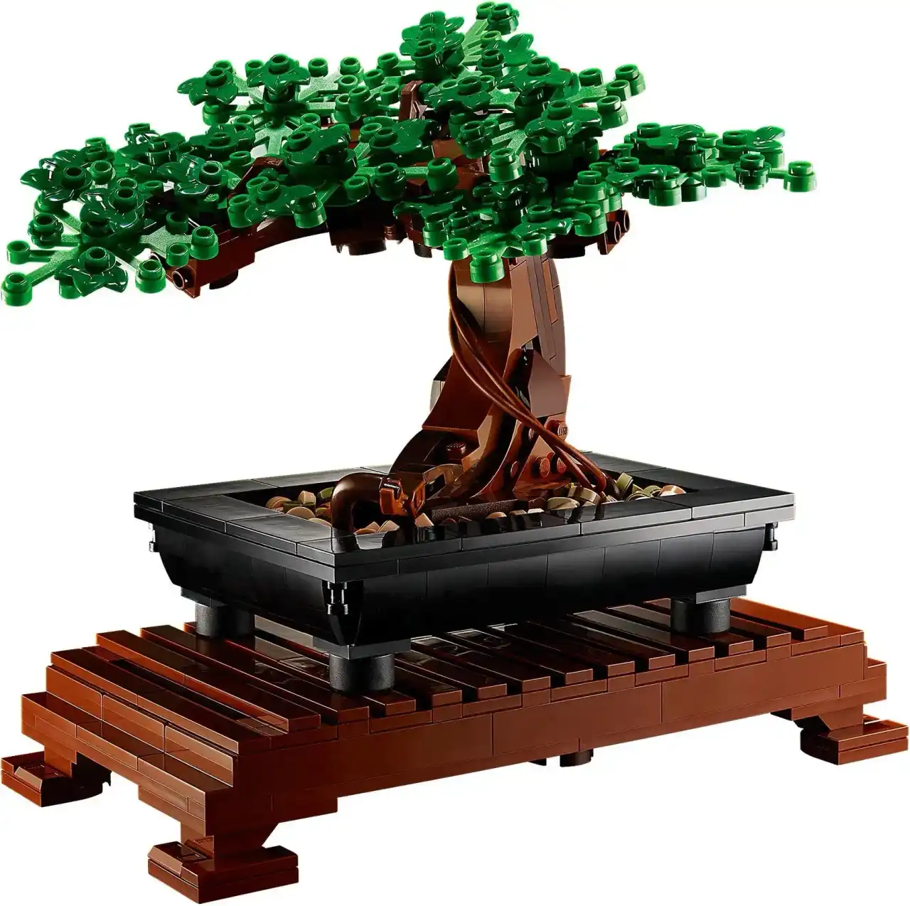 10281 - Bonsai Tree