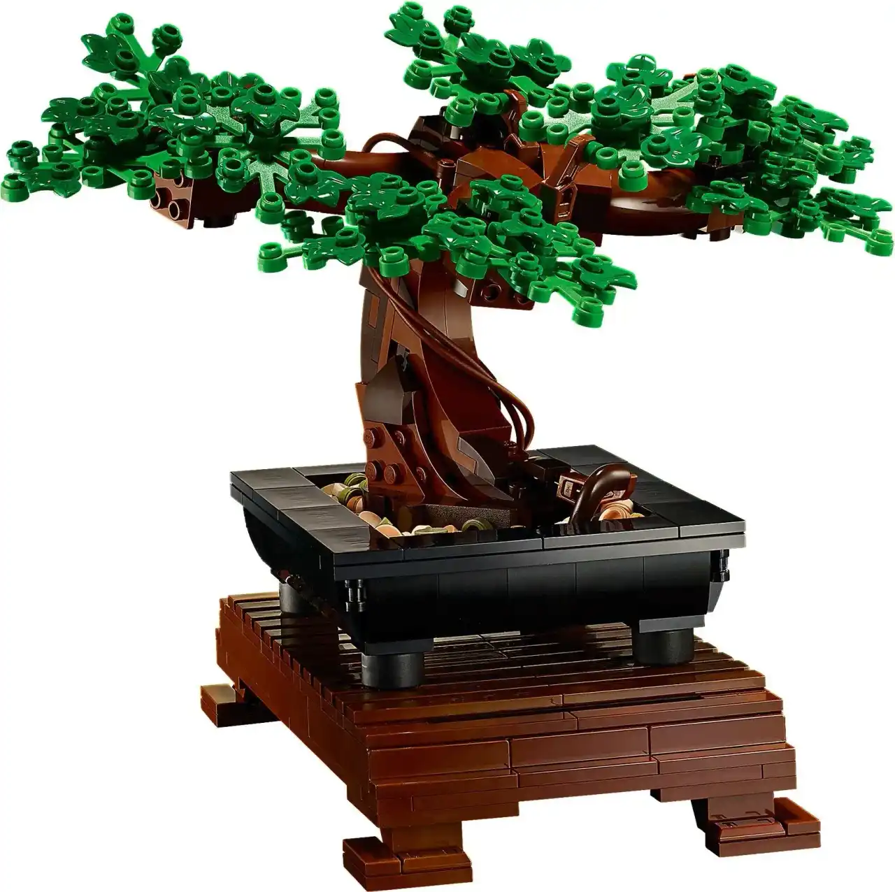 10281 - Bonsai Tree