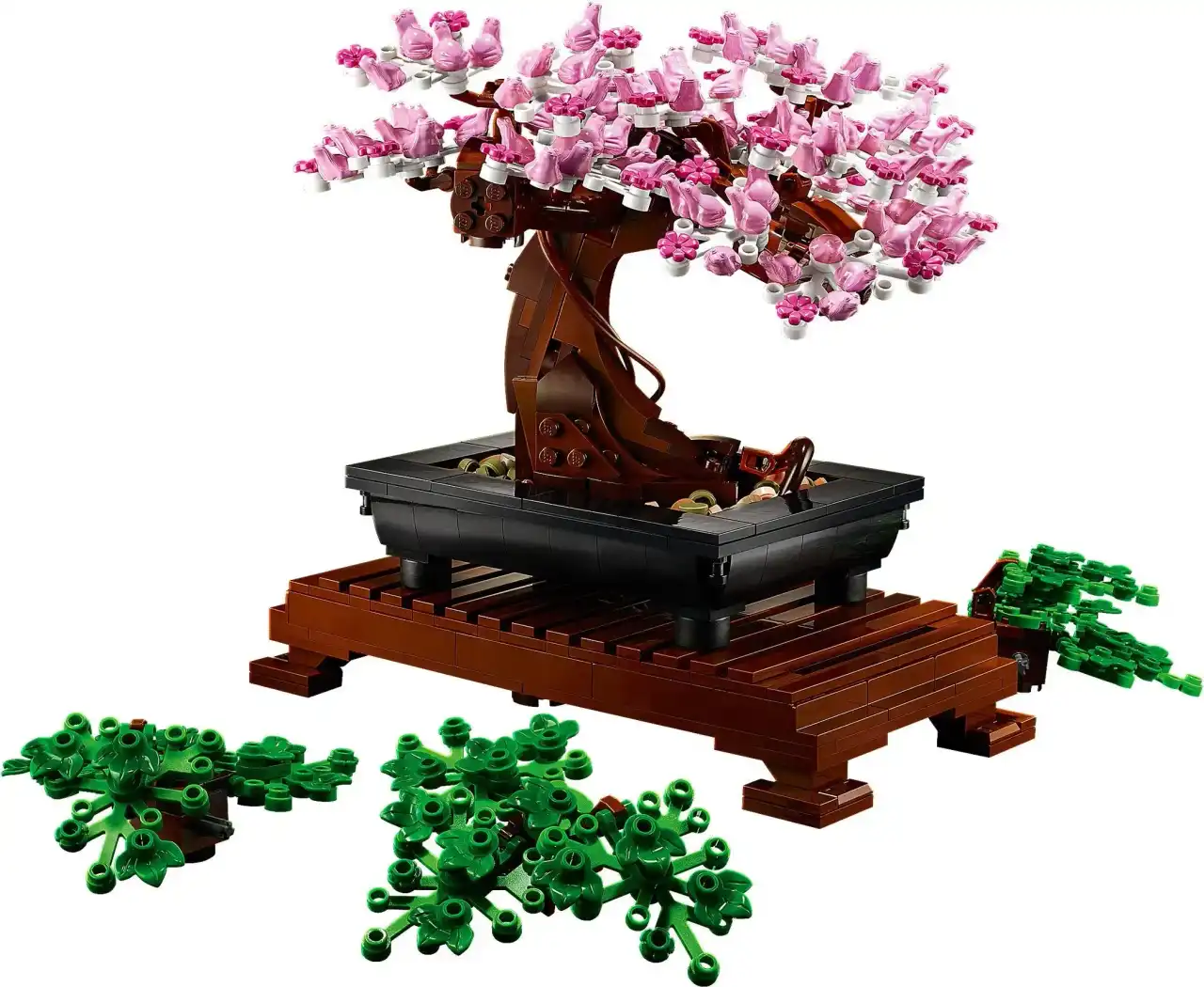 10281 - Bonsai Tree