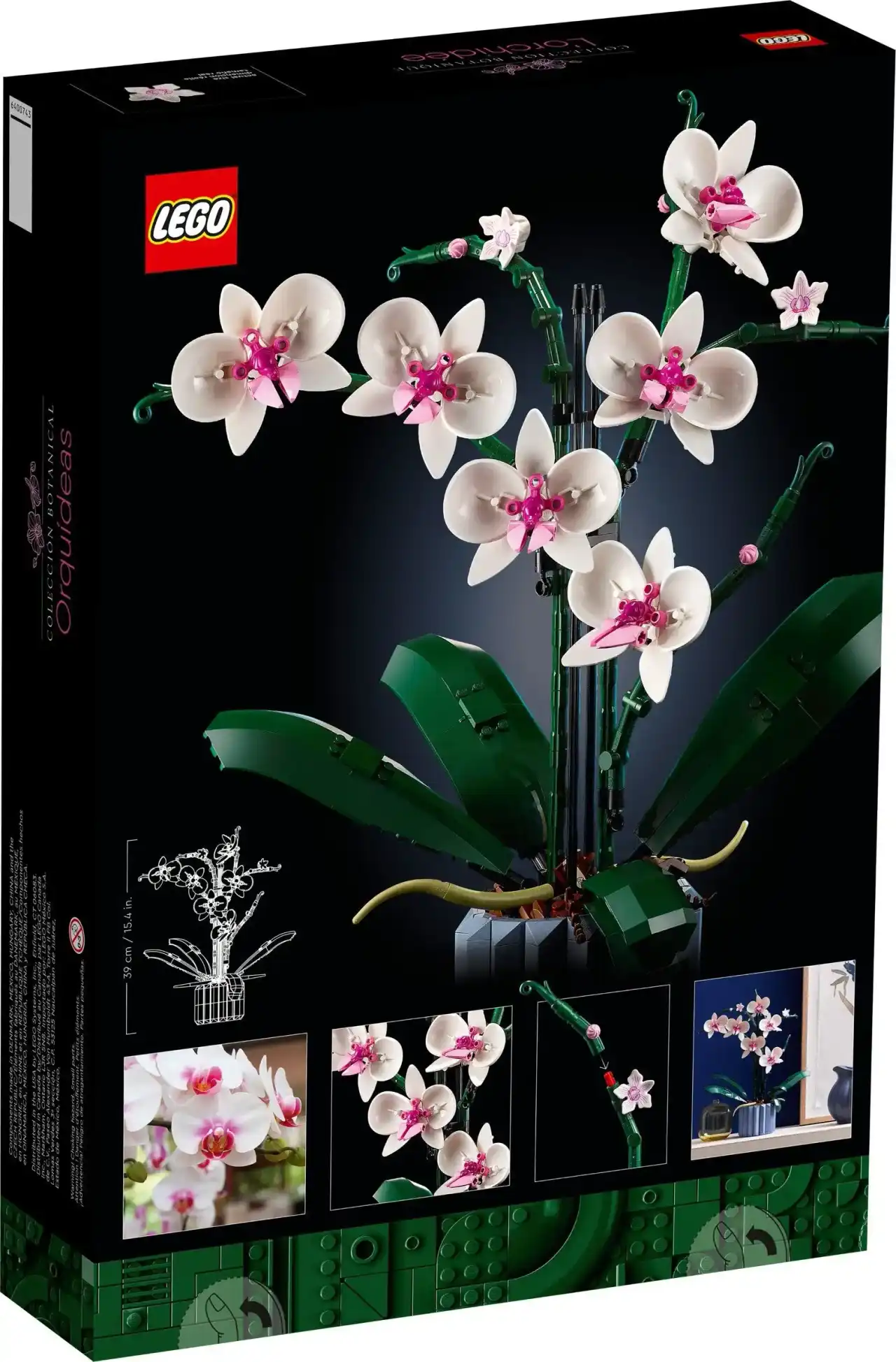 10311 - Orchid