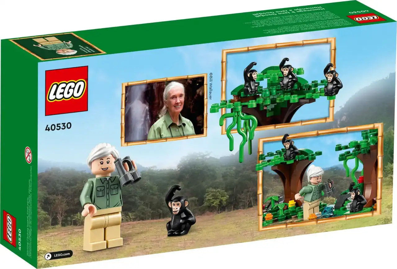 40530 - Jane Goodall Tribute