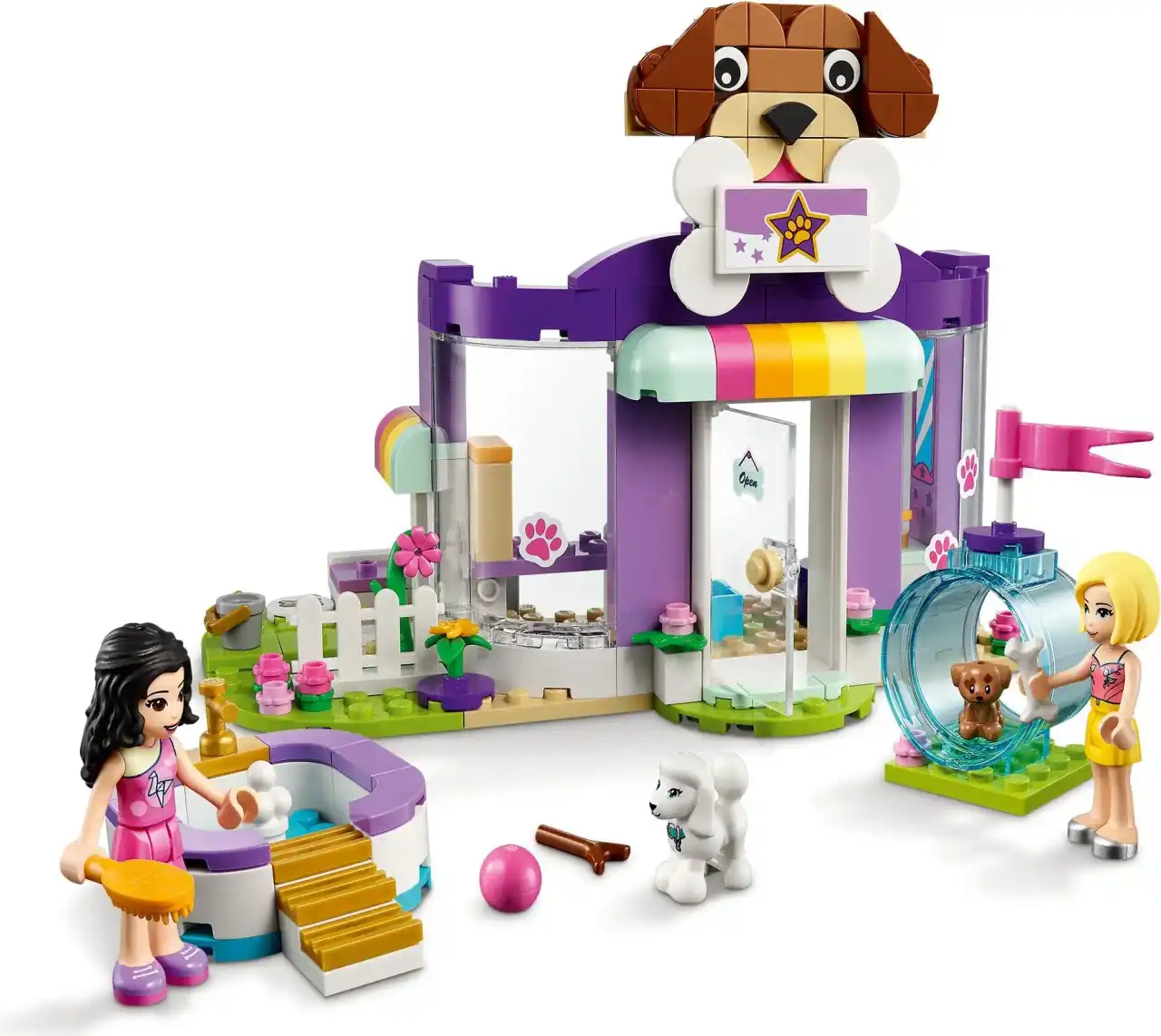 41691 - Doggy Day Care