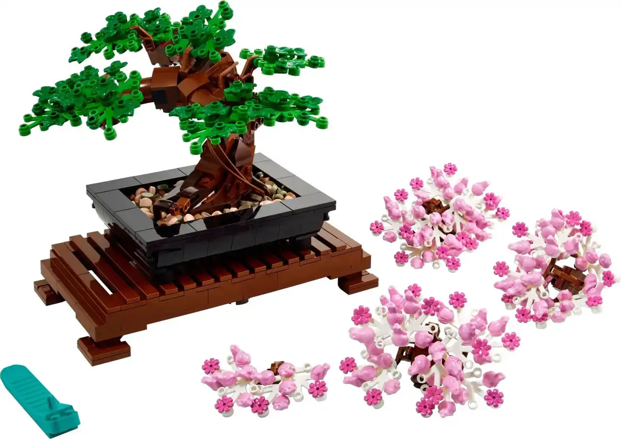 10281 - Bonsai Tree