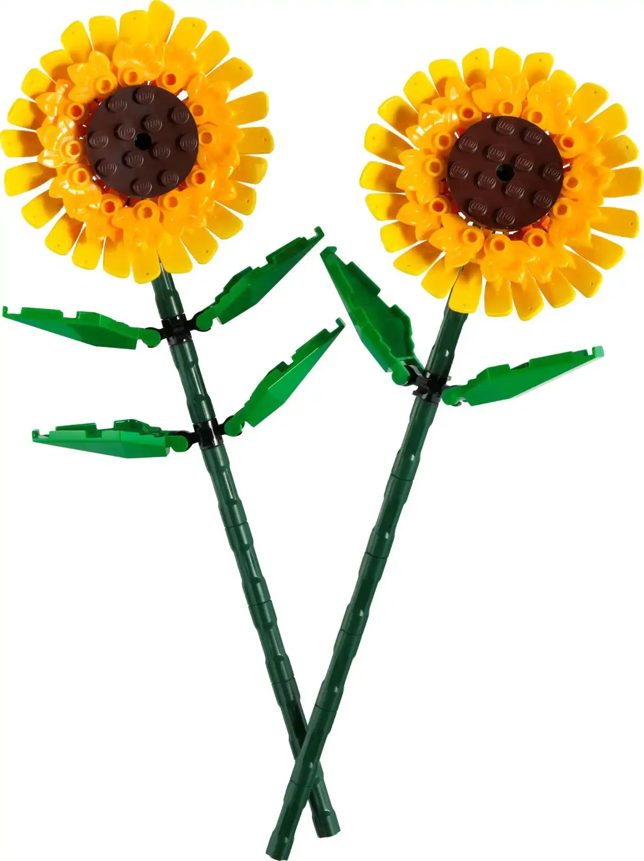 40524 - Sunflowers