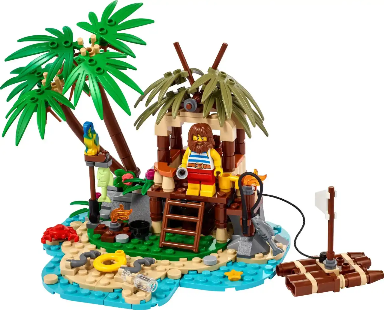 40566 - Ray the Castaway