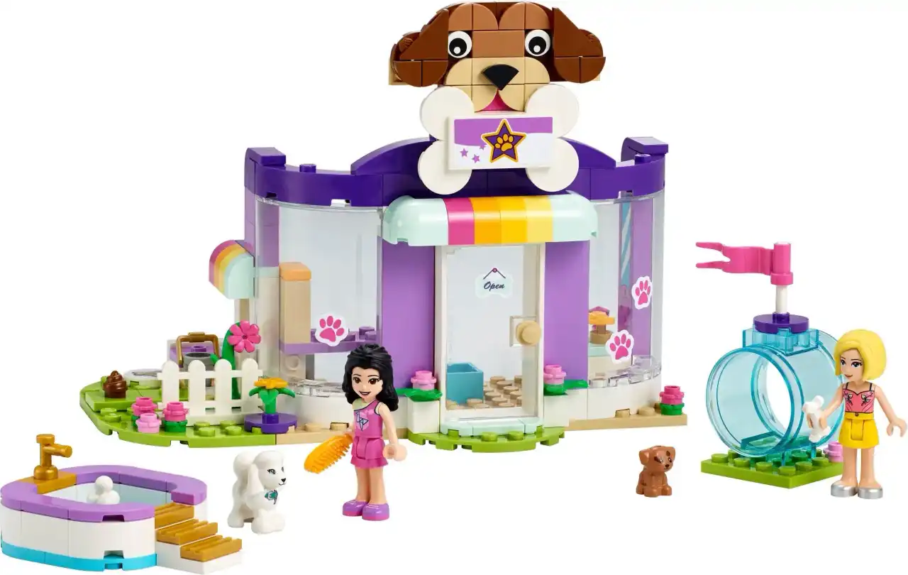41691 - Doggy Day Care